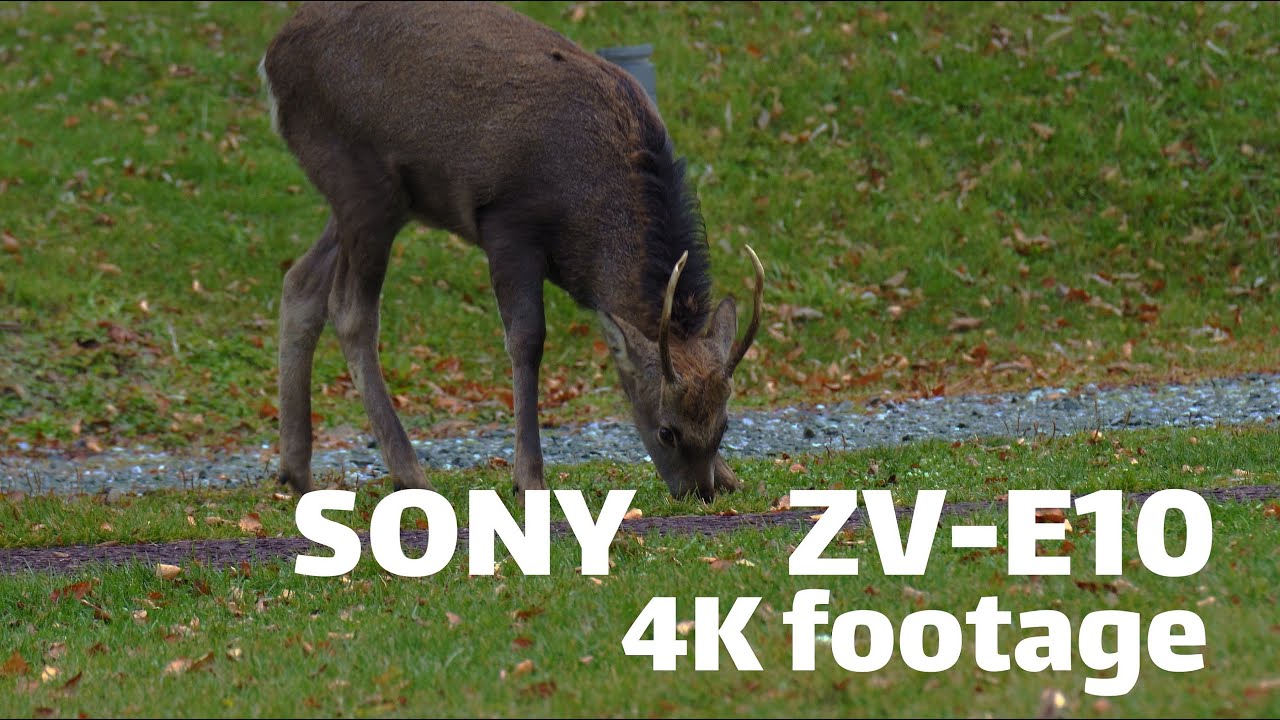 The handheld shooting of Sony ZV-E10 （4K cinematic footage）