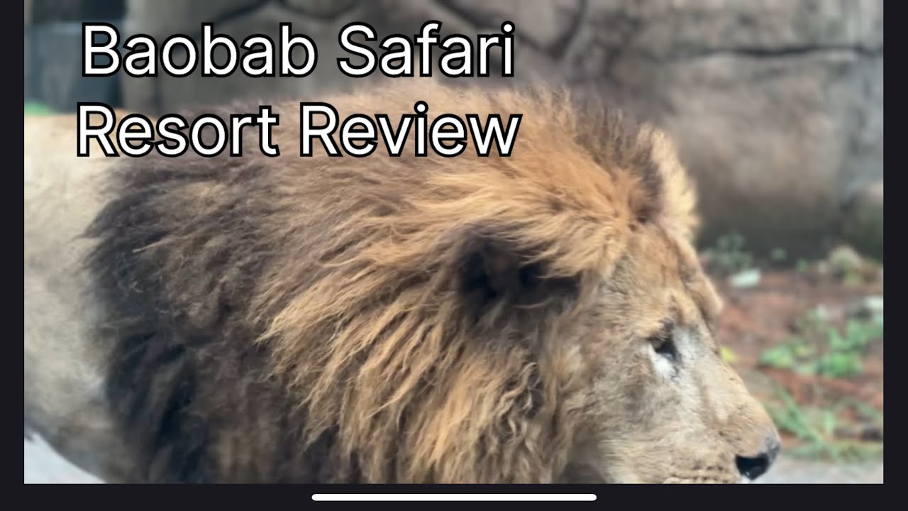 Baobab Safari Resort Review 