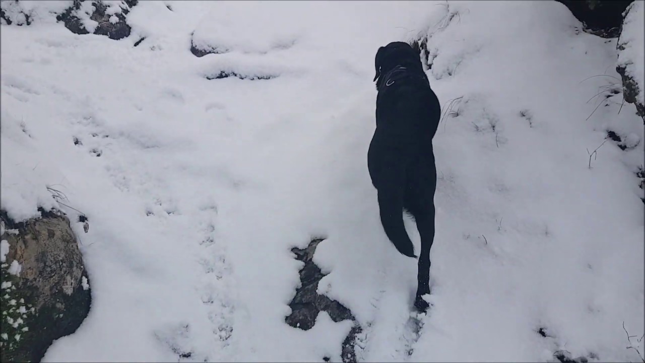 Über Nacht hat es geschneit