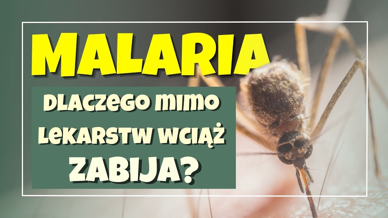 MALARIA - dlaczego mimo lekarstw ciągle istnieje?
