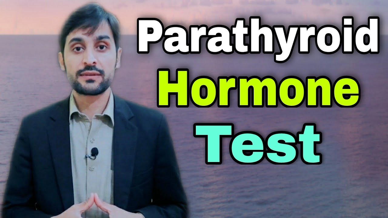 Parathyroid Hormone Test | Parathyroid Hormone Function | Parathyroid Gland