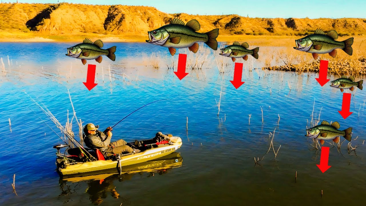 Roosevelt Lake Is LOADED With Bass! ft. Phat Pak Baits