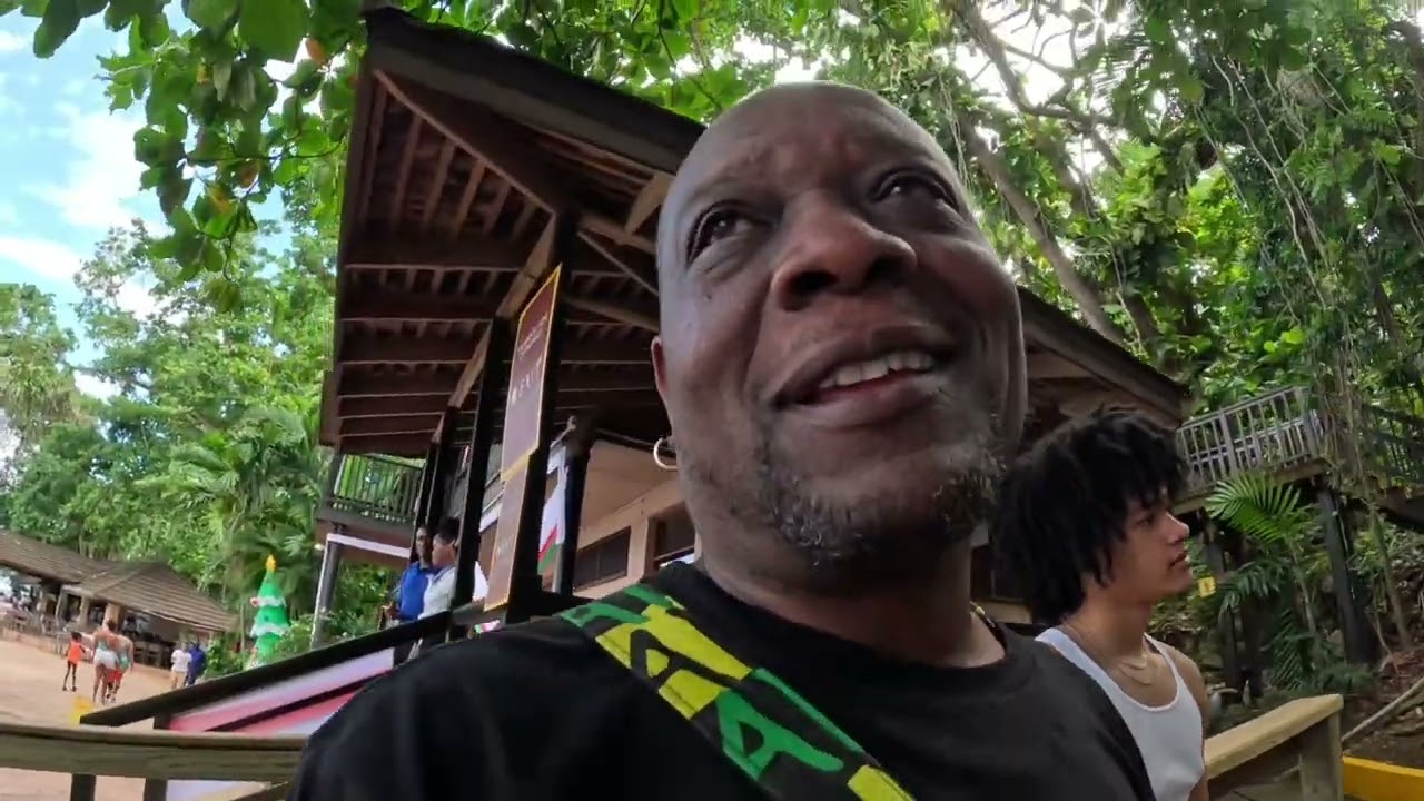 Jamaica Dolphins Cove for the day (Dec 2025 )