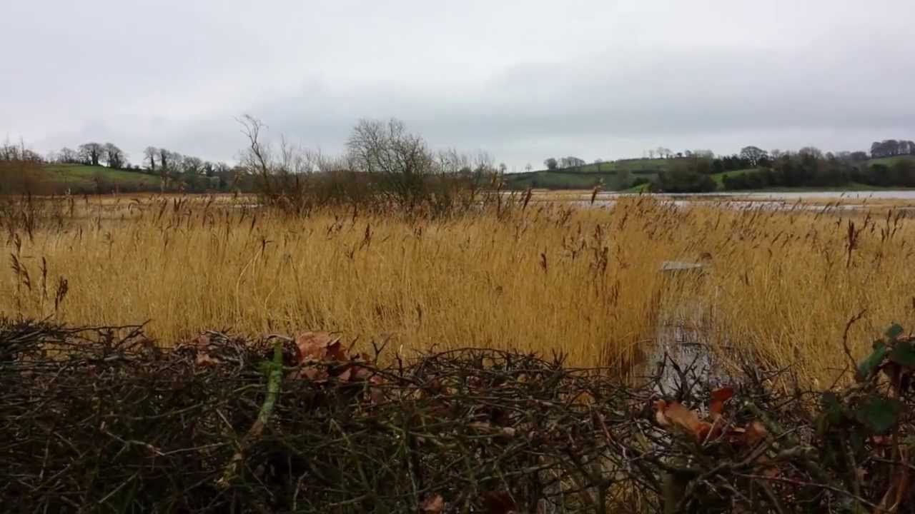 Ballybay Wetlands Centre