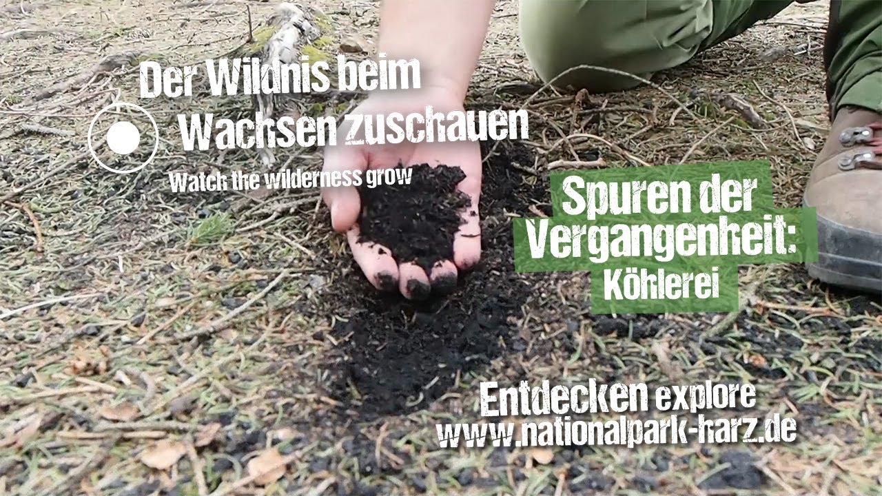 Nationalpark Harz f&uuml;r Zuhause - Spuren der Vergangenheit: K&ouml;hlerei