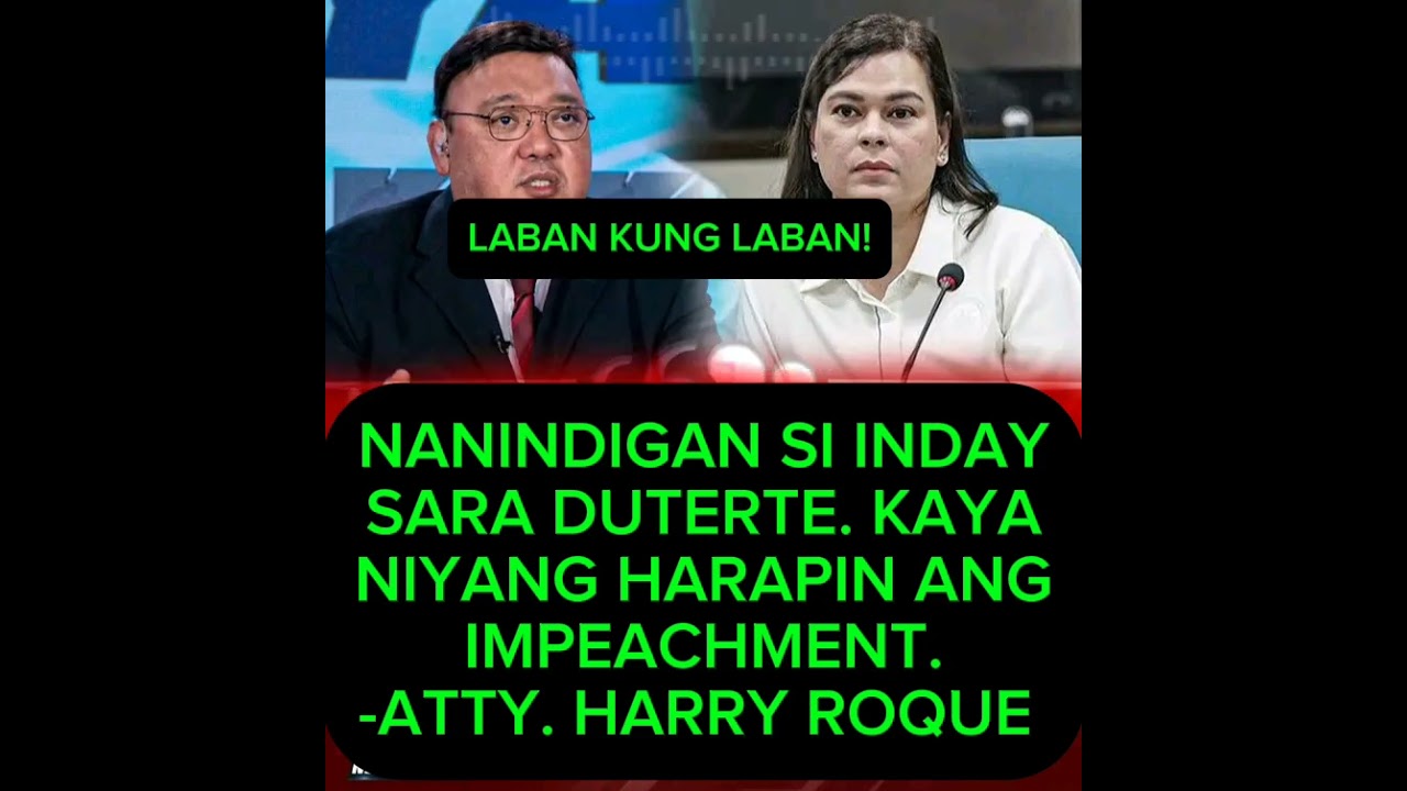 ATTY. HARRY ROQUE-VP SARA DUTERTE: WALANG ATRASAN IMPEACHMENT?!#funny#comedy#jokes#foryou#shorts
