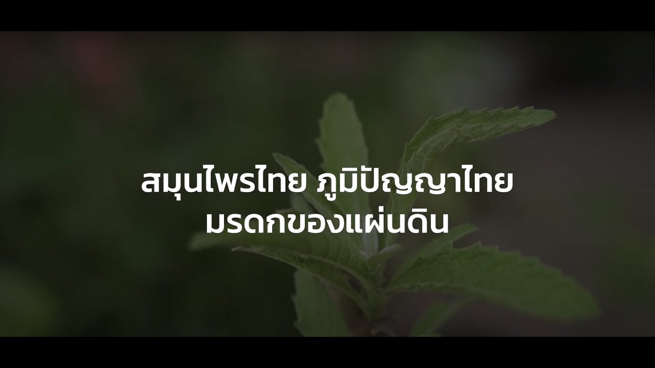 ภาพความสำเร็จโครงการ U2T for BCG : สมุนไพรไทย ภูมิปัญญาไทย มรดกของแผ่นดิน : จังหวัดชัยภูมิ