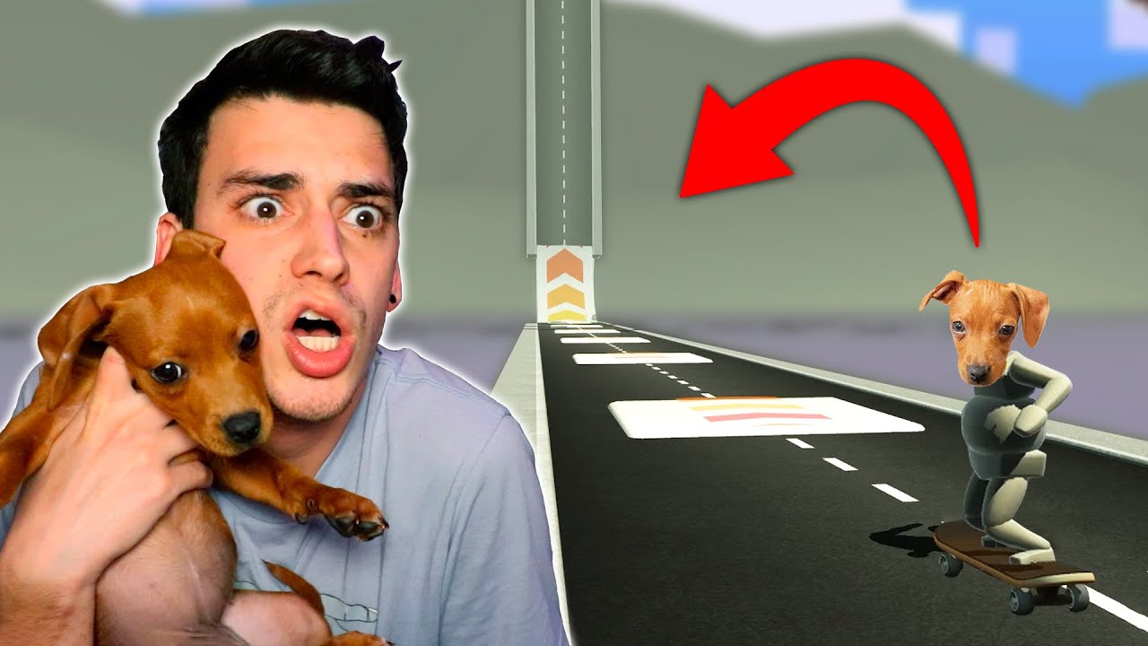 MY PUPPY SKATES THE CRAZIEST HIGHWAY! (Turbo Dismount)