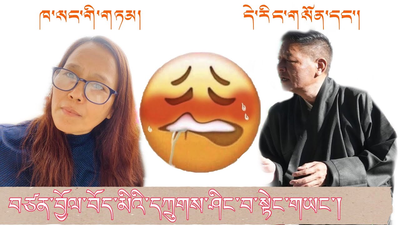 ཆོས་རྒྱུད་རྣམས་ལ་རྡུང་འདེབས་བཏང་མཁན་དཀྲུགས་ཤིང་མ་སྟེང་གཡང་ལ་དཔྱད་པ།