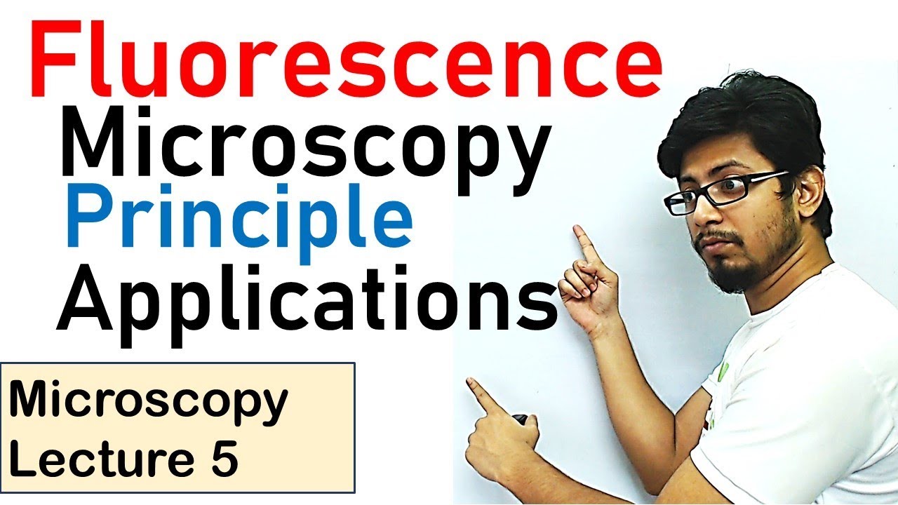 Fluorescence microscopy principle and working