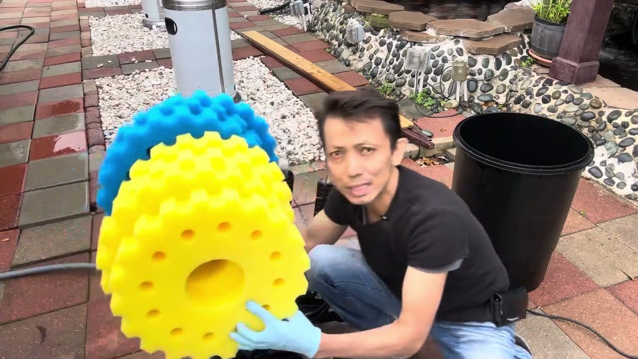 David Trần changed crech cpf 30000 filter sponge