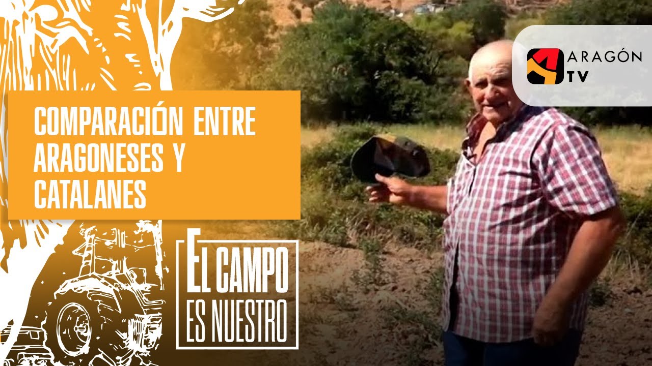 Comparación entre aragoneses y catalanes