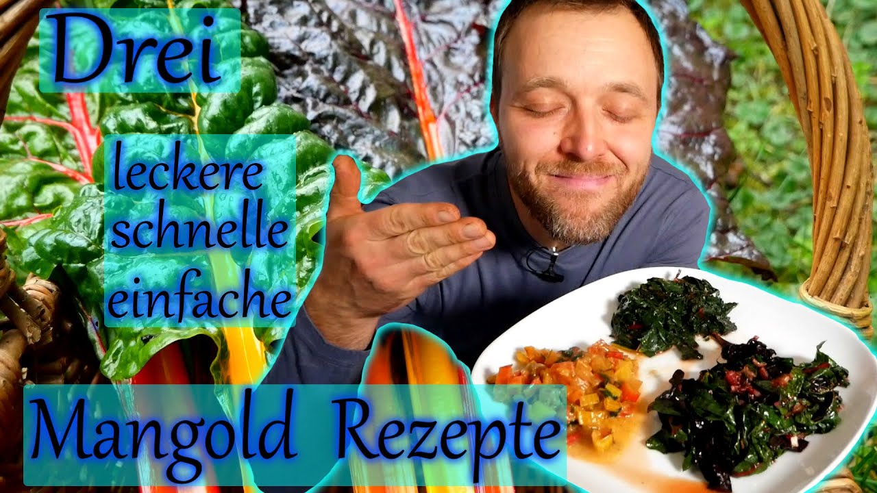 3 Mangold Rezepte   schnell einfach und lecker