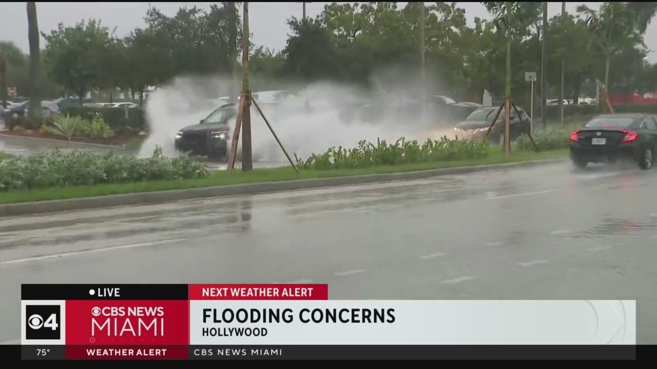 Flooding concerns in Hollywood
