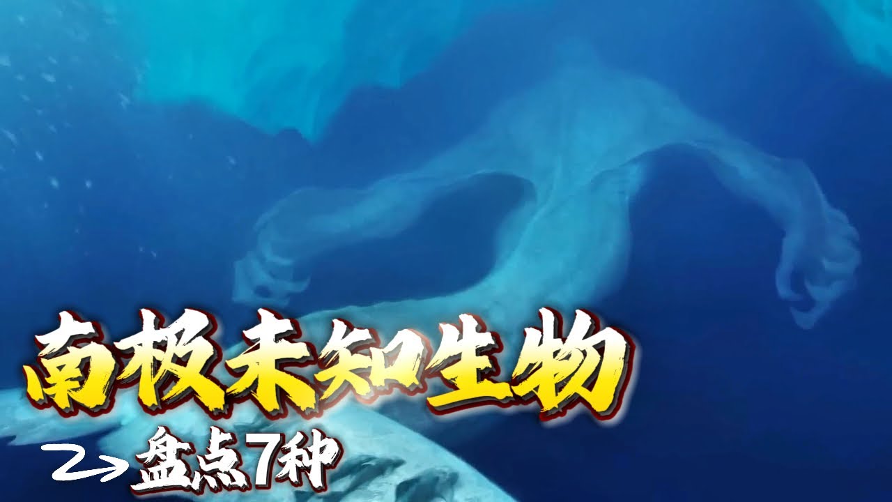 南极地球上最神秘的地方，盘点7种真实存在的未知生物