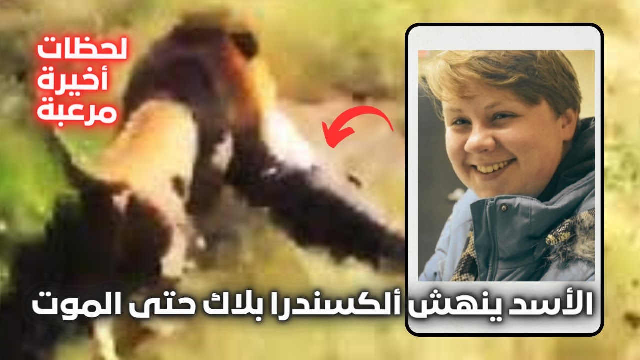 ضربوا الاسد بـ 4 سهام مهدئه و 8 رصاصات علشان يبعد عن جثة دكتورة الاحياء صاحبة ال 22 عام | مرعب جدا