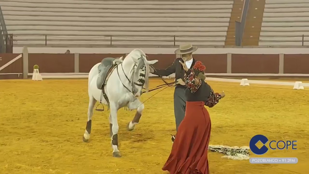 &Aacute;ngel Peralta y bailaora - Pozoblanco