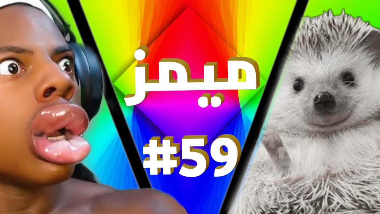 هذا الأنسان مجنووون 😂! | ميمز #59