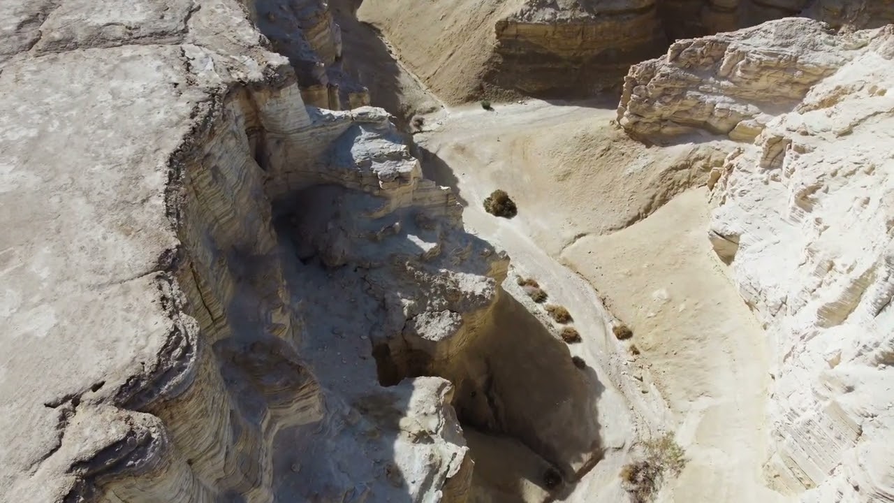 Dead Sea Nature 