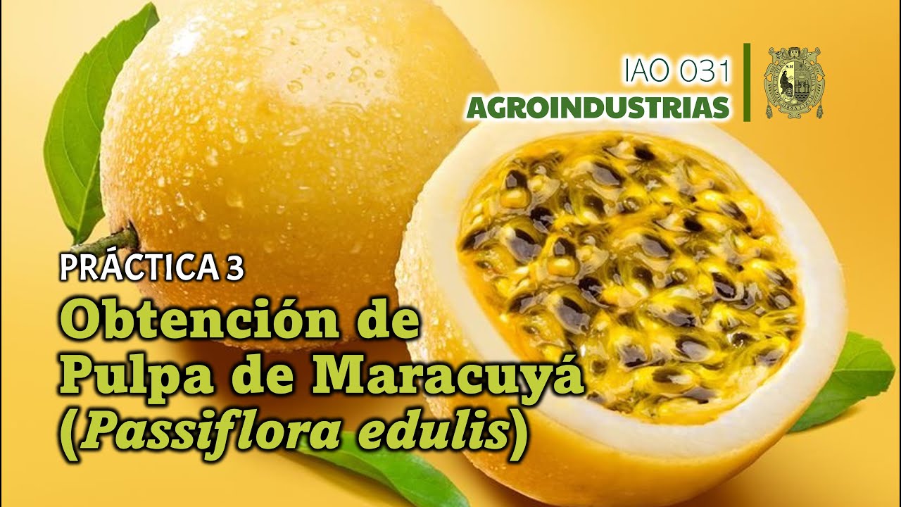 Obtención de pulpa del maracuyá | Práctica N° 3 | Agroindustrias | UNMSM