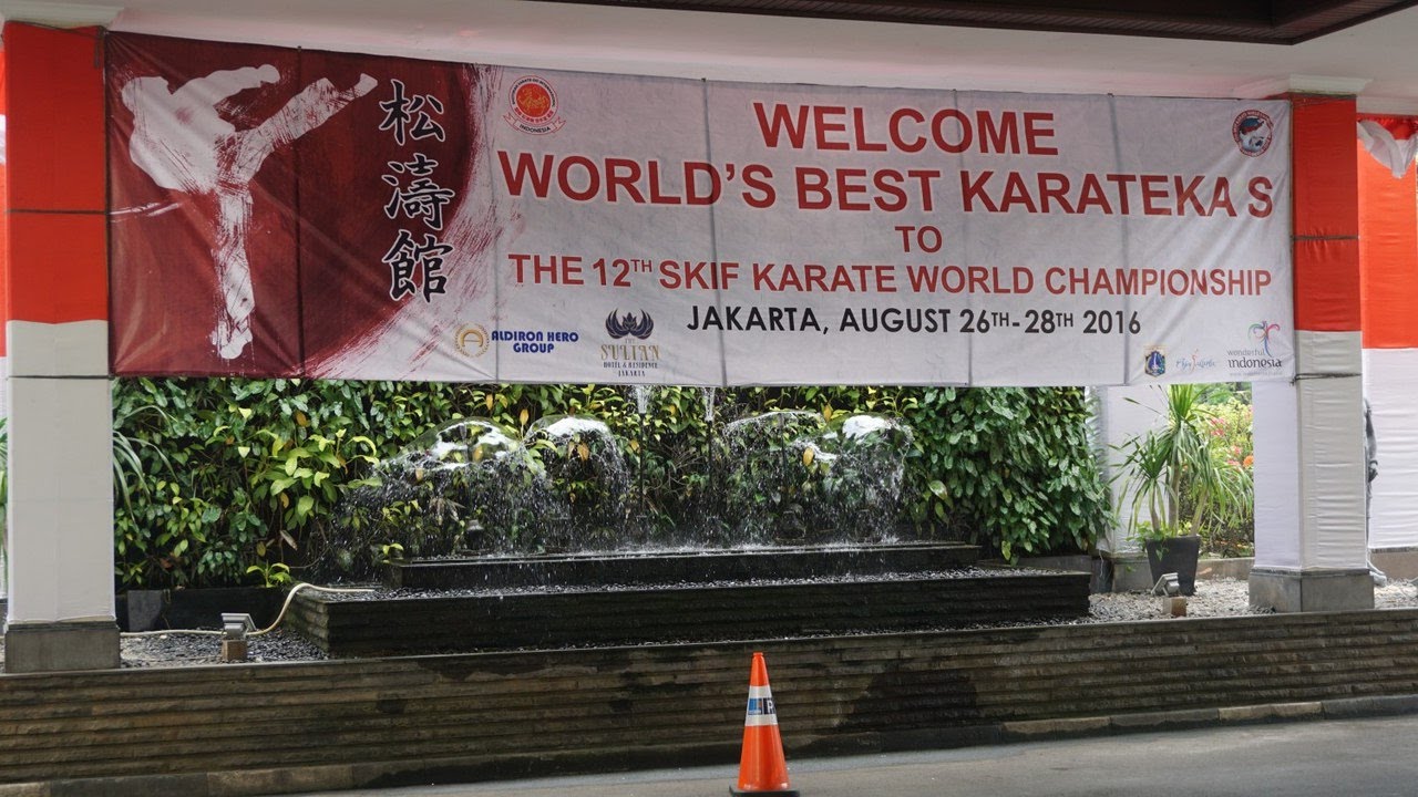 The 12th SKIF Karate World Championship с Grandchampion's Kumite male final mp4