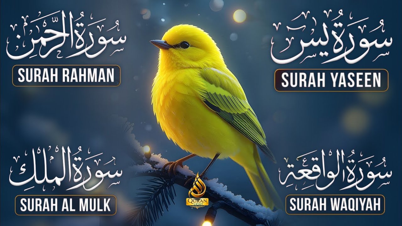 Very Nice Voice Surah Yaseen | Surah Rahman | Surah Waqiah | Surah Mulk l Reciter Ashraf Hussain 020