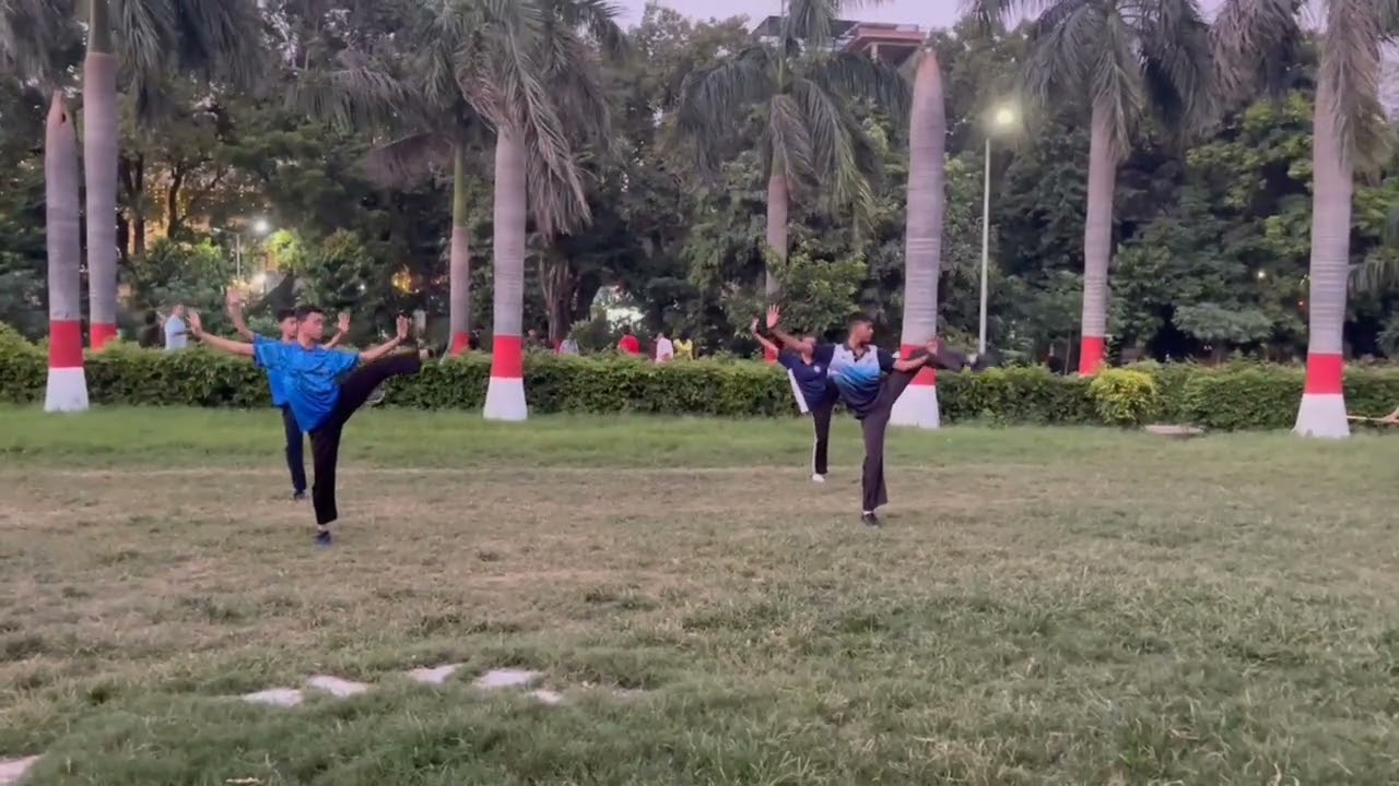 Delhi Lion Wushu Academy 