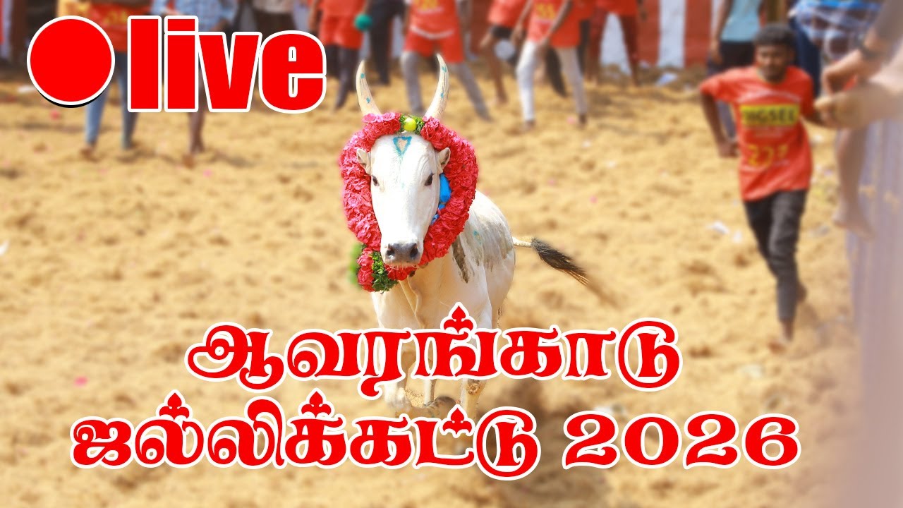 🛑LIVE || ஆவரங்காடு ஜல்லிக்கட்டு 2026 || Avarangadu jallikattu live2026
