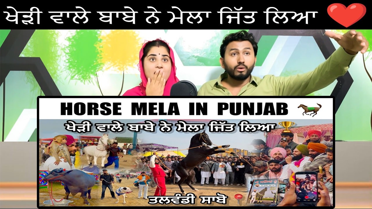 HORSE MELA IN PUNJAB 🐎|| TALWANDI📍2026 || ਖੇੜੀ ਵਾਲੇ ਬਾਬੇ ਨੇ ਮੇਲਾ ਜਿੱਤ ਲਿਆ ❤️|| #punjab