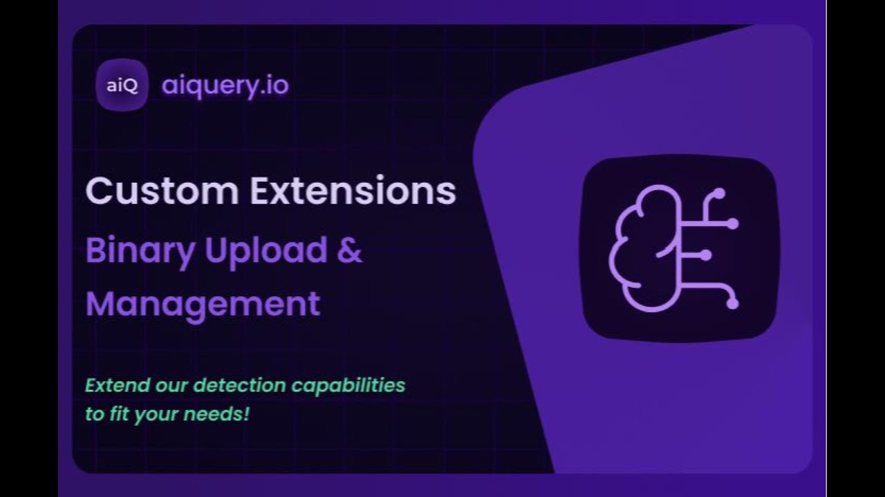 aiquery.io – Custom Extensions Deployment & Management