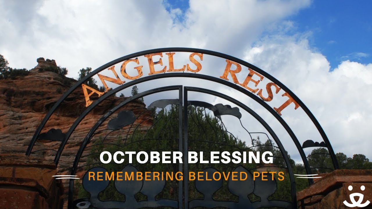 October Blessing from Angels Rest | Best Friends Animal Sanctuary