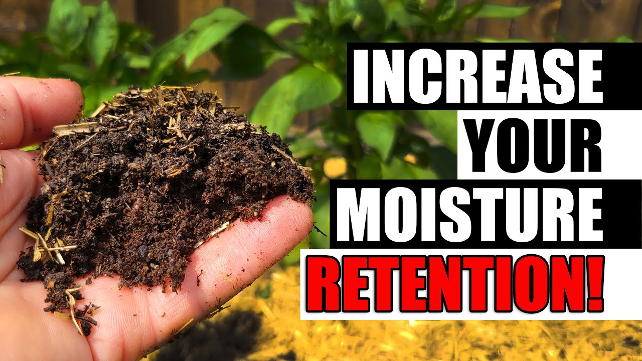 Increase Your Soil's Water Retention Garden Quickie Episode 89
