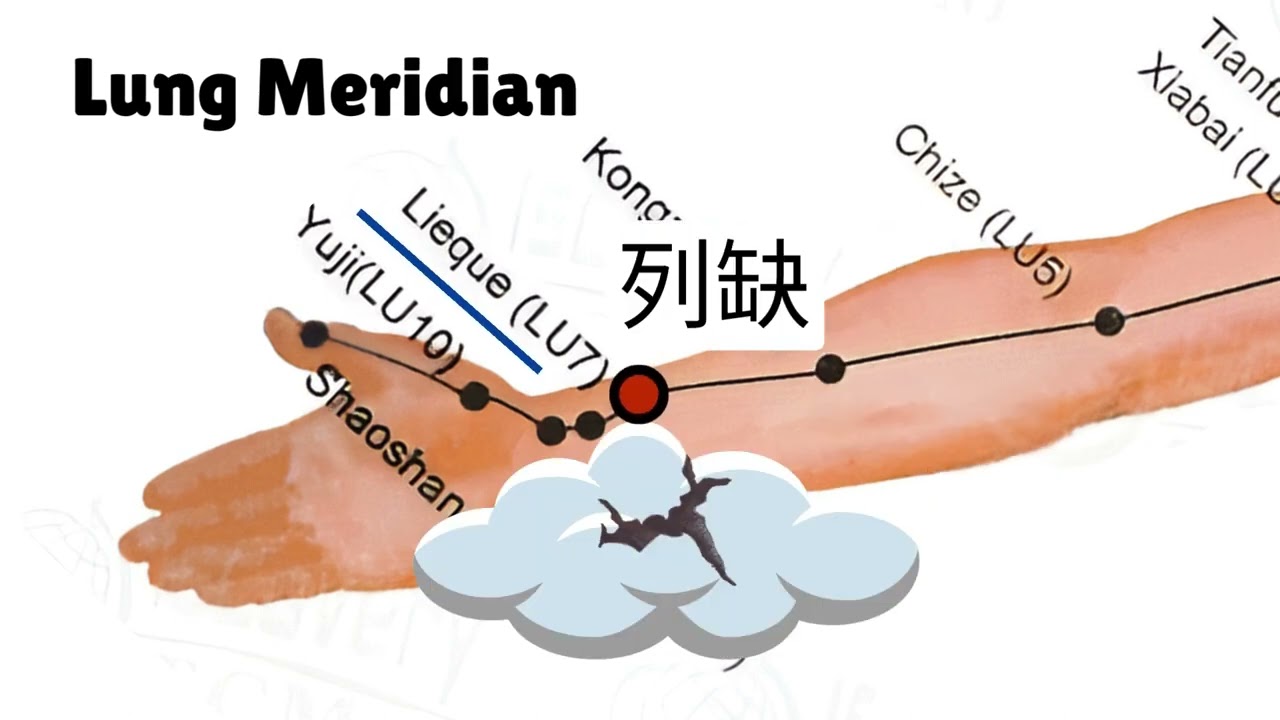 The Lung Meridian Decoded: Remembering Points with Mnemonics  