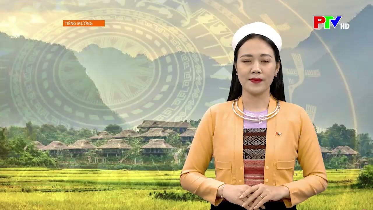 8 2 Muong