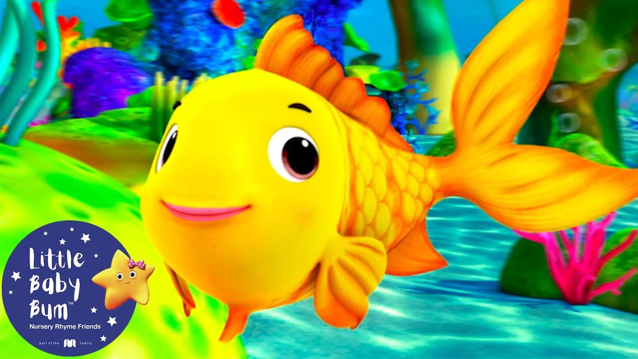 Canciones para Ni&ntilde;os | Contando peces | Canciones Infantiles | Little Baby Bum