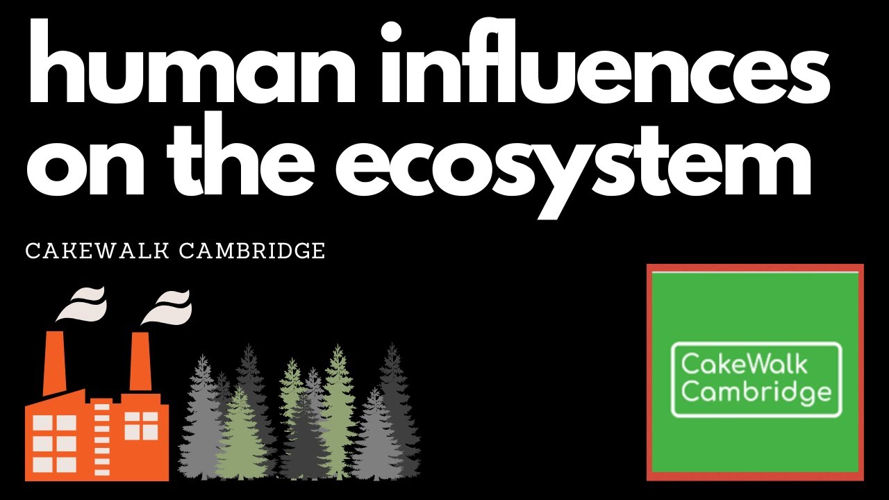 IGCSE Biology 21 - Human Influences on Ecosystems | CakeWalk Cambridge