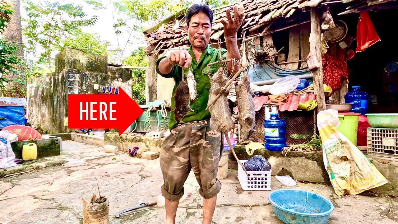 Bẫy Được Chuột “Khổng Lồ” Về Nướng Giềng Mẻ Ngon Bá Cháy | Survival In The Fields | HUY ANH TV