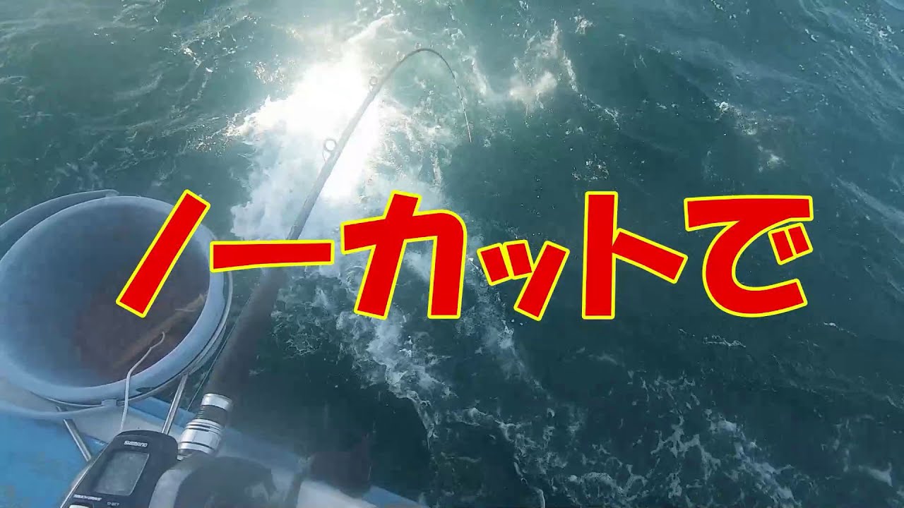 一周回ってスローなシャクリで激渋久里浜でなんとかイシダイ～釣りIQが著しく低い足りない頭で考えた～（2020.2.1　久里浜・平作丸　イシダイ五目）