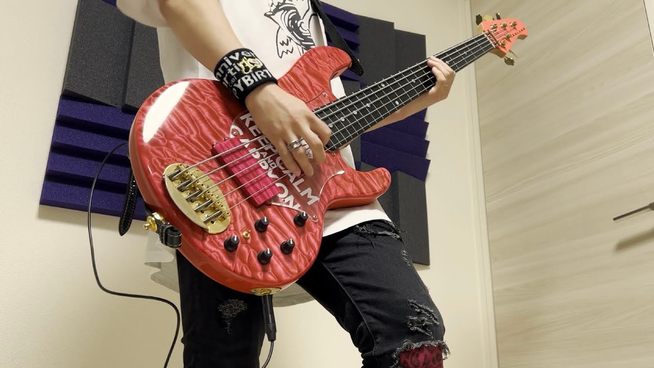 L'Arc-en-Ciel ⇒ HEAVEN'S DRIVE bass cover【20th L'Anniversary LIVE】