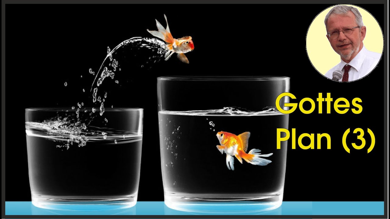 Plan Gottes (3. Teil): Versöhnung