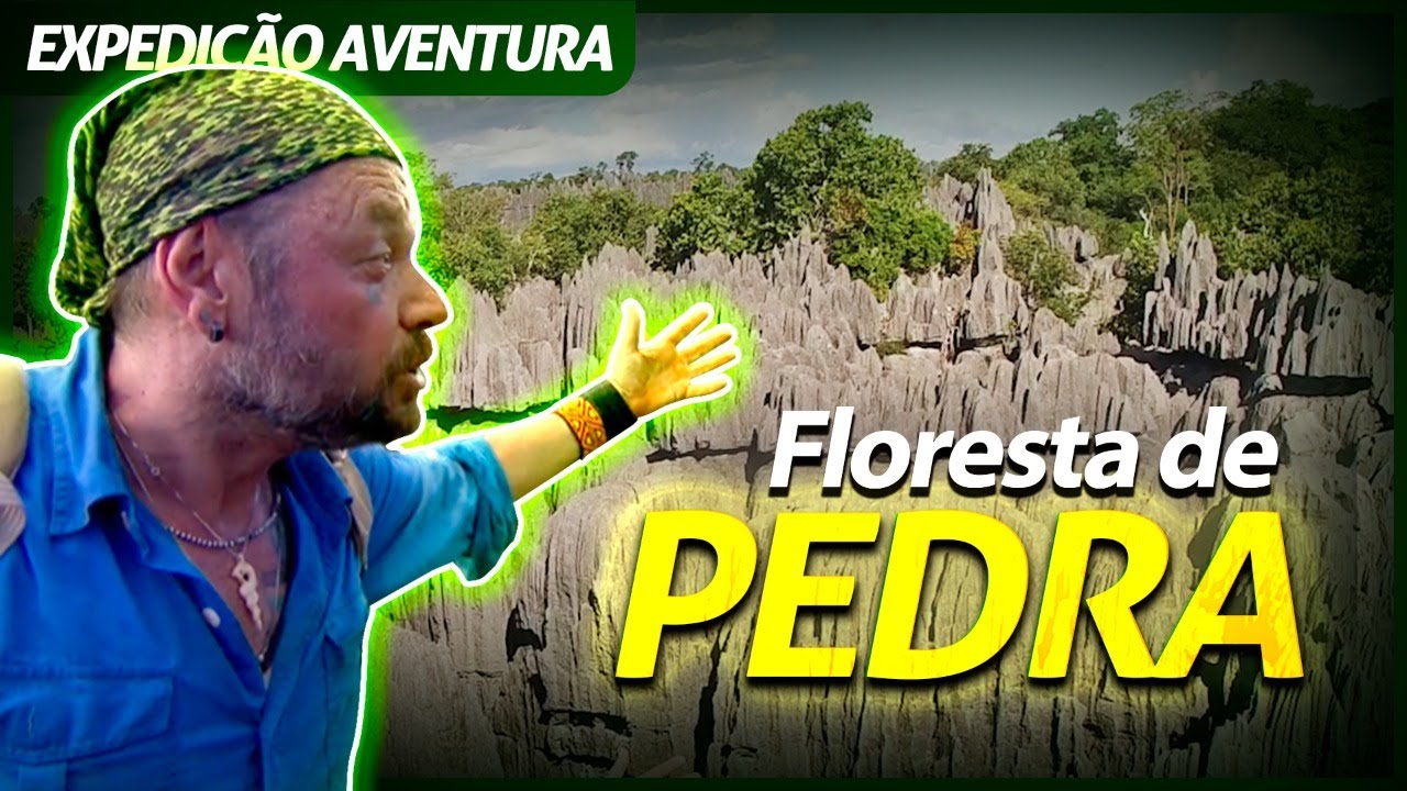 A MISTERIOSA FLORESTA DE PEDRAS DE MADAGASCAR! | RICHARD RASMUSSEN