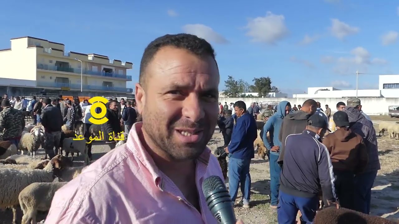 عندي فوق 180 كعبة علوش مزالو في الدار ،واحد في القصور يحب مني 150 مليون منجمتش نهزهم السبب الديوانة