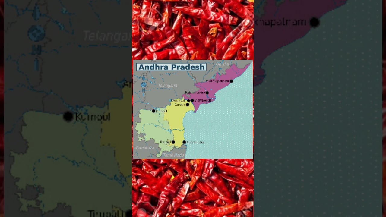Land of spices #youtubeshorts #factsaboutindia #masala  #spicesofindia #youtubegrowth #ytool