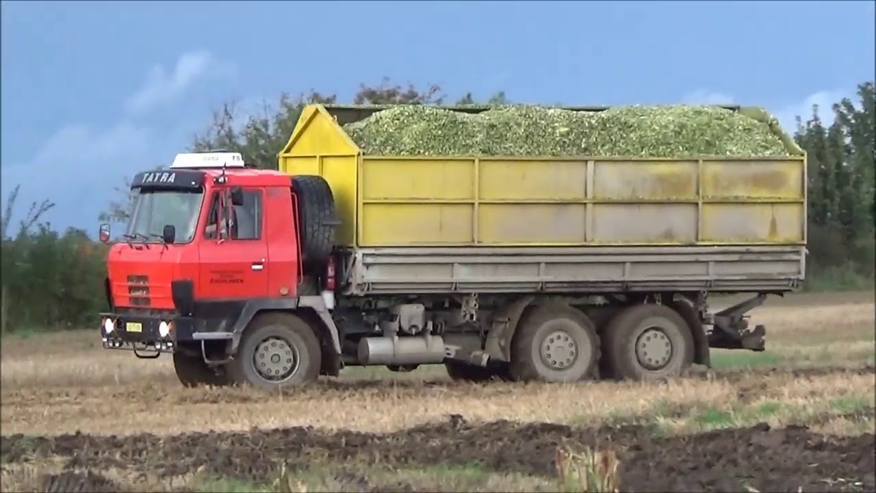 Siláže 2020 Claas Jaguar 950 4x Tatra 815 Agro