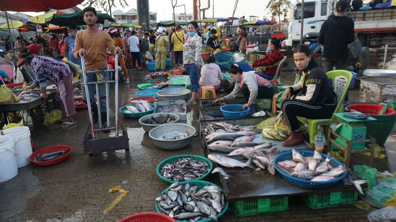 Morning Daily Activities Vendors Selling Fish @Chhbar Ampov - Morning Fish Market Scene in Town