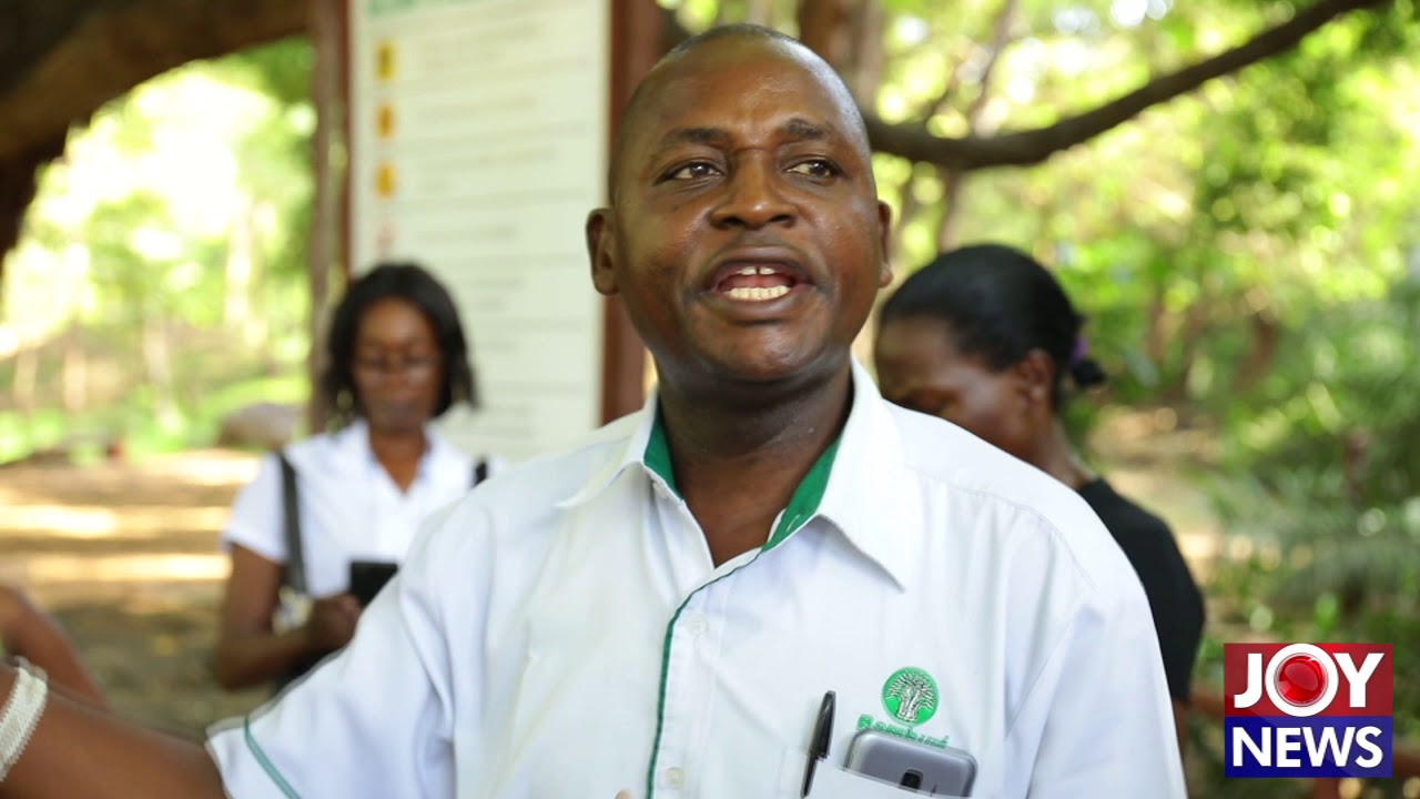 How Mombasa Cement Factory in Kenya turned quarry site into a park