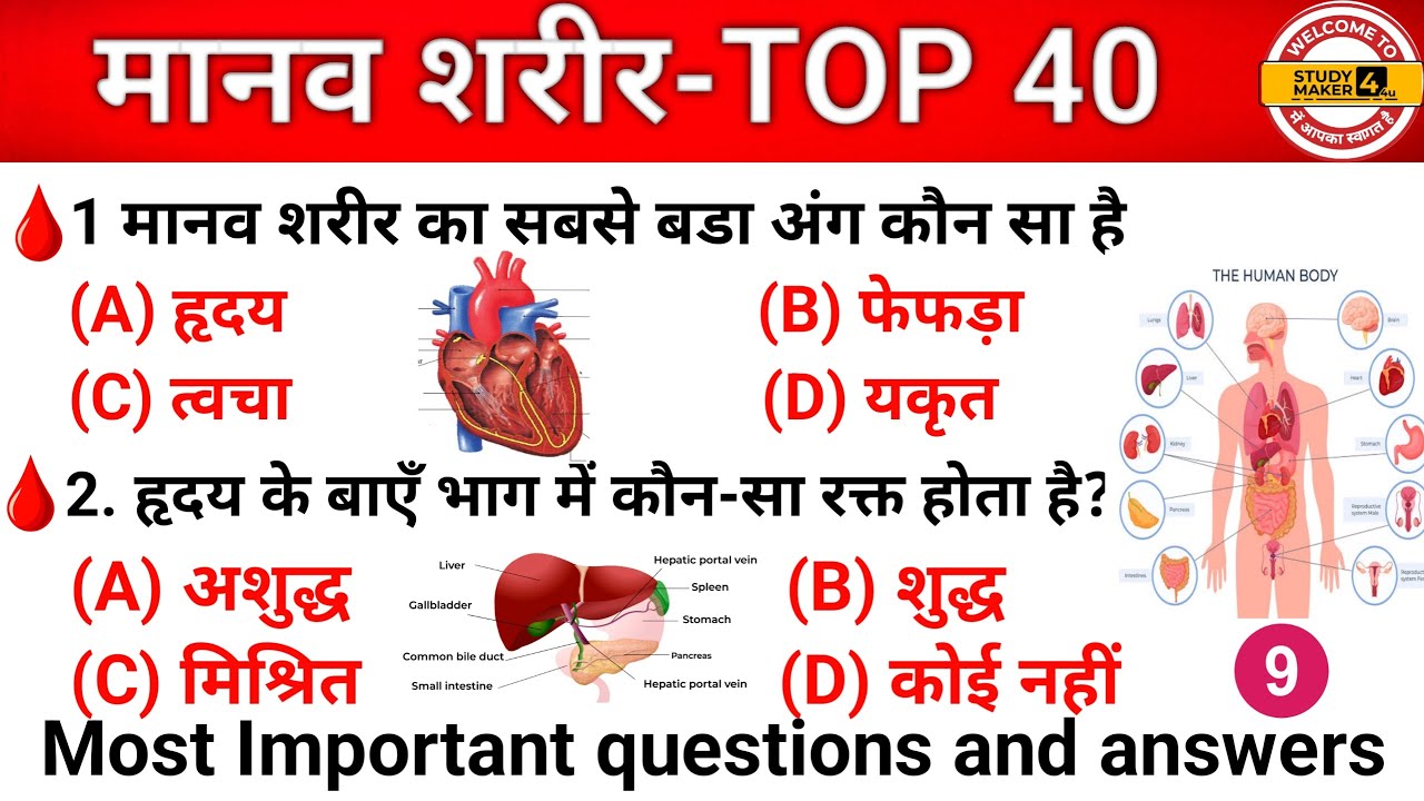 मानव शरीर Gk Questions ||Human Body Important Questions ||For Gov Exams. RRB BSSC BIHAR POLICE