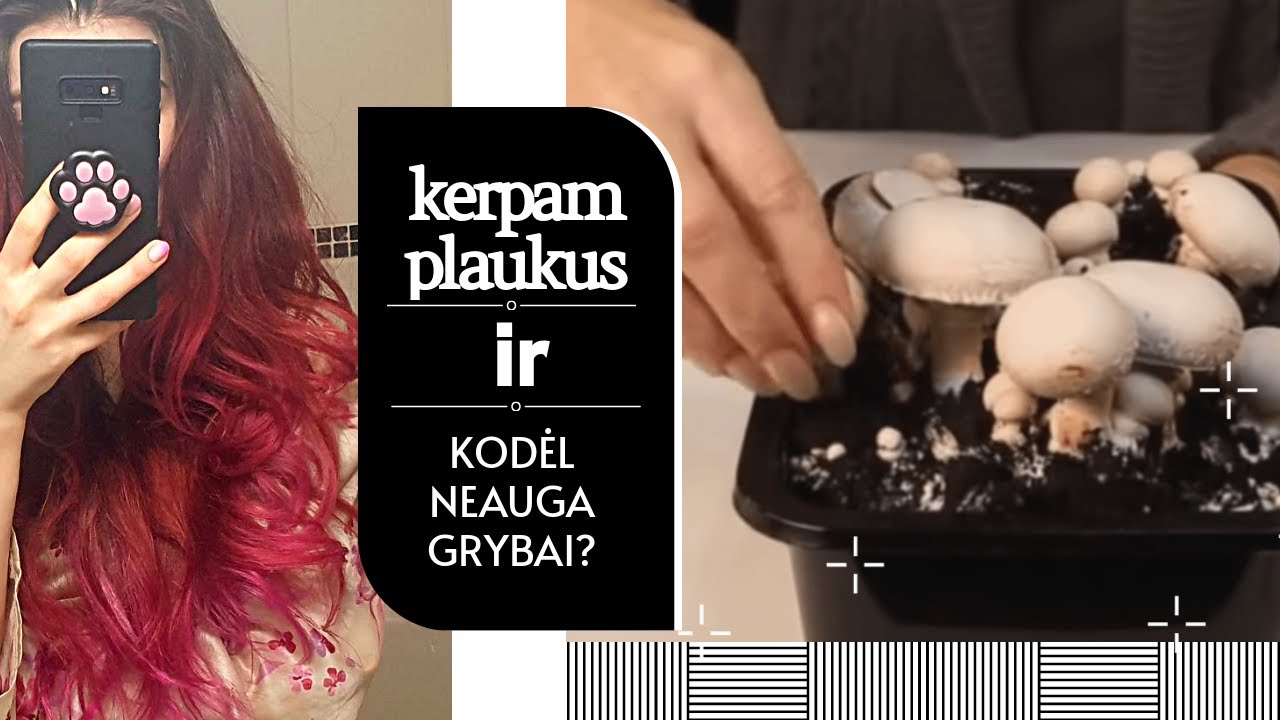 azijietiški užkandžiai, kerpam plaukus, testuojam vegreen veido produktus ir ... mano grybai neauga!