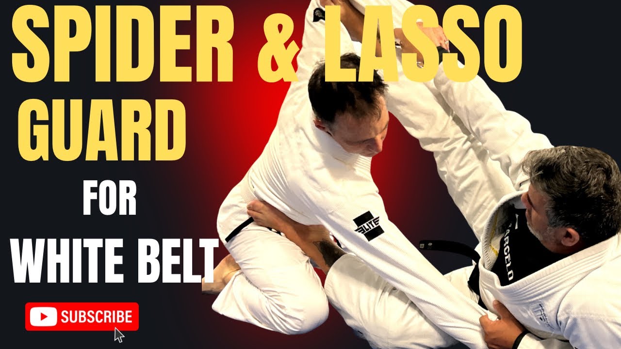 Introduction to Spider and Lasso Guard
