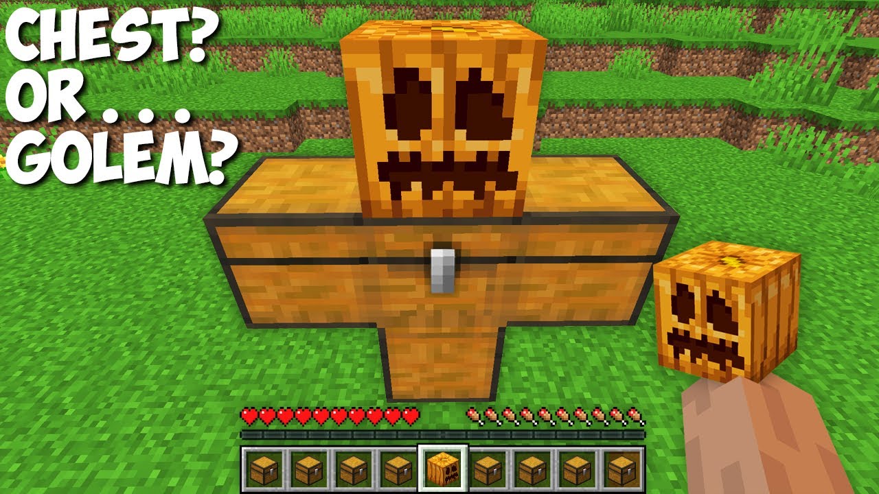 Why do NEED A CHEST GOLEM in Minecraft ? SECRET GOLEM !
